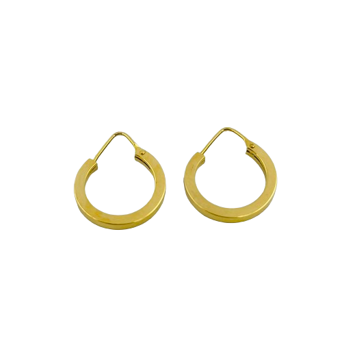 Earrings (18 Karat)